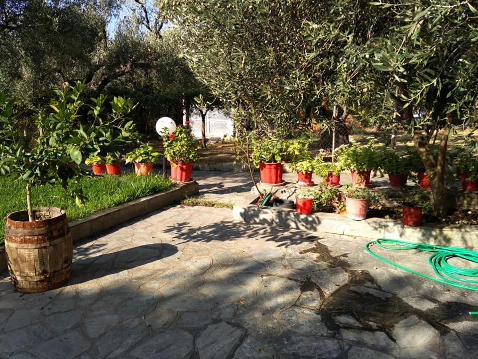 Villa Asimidou Agia Paraskevi  Exterior photo