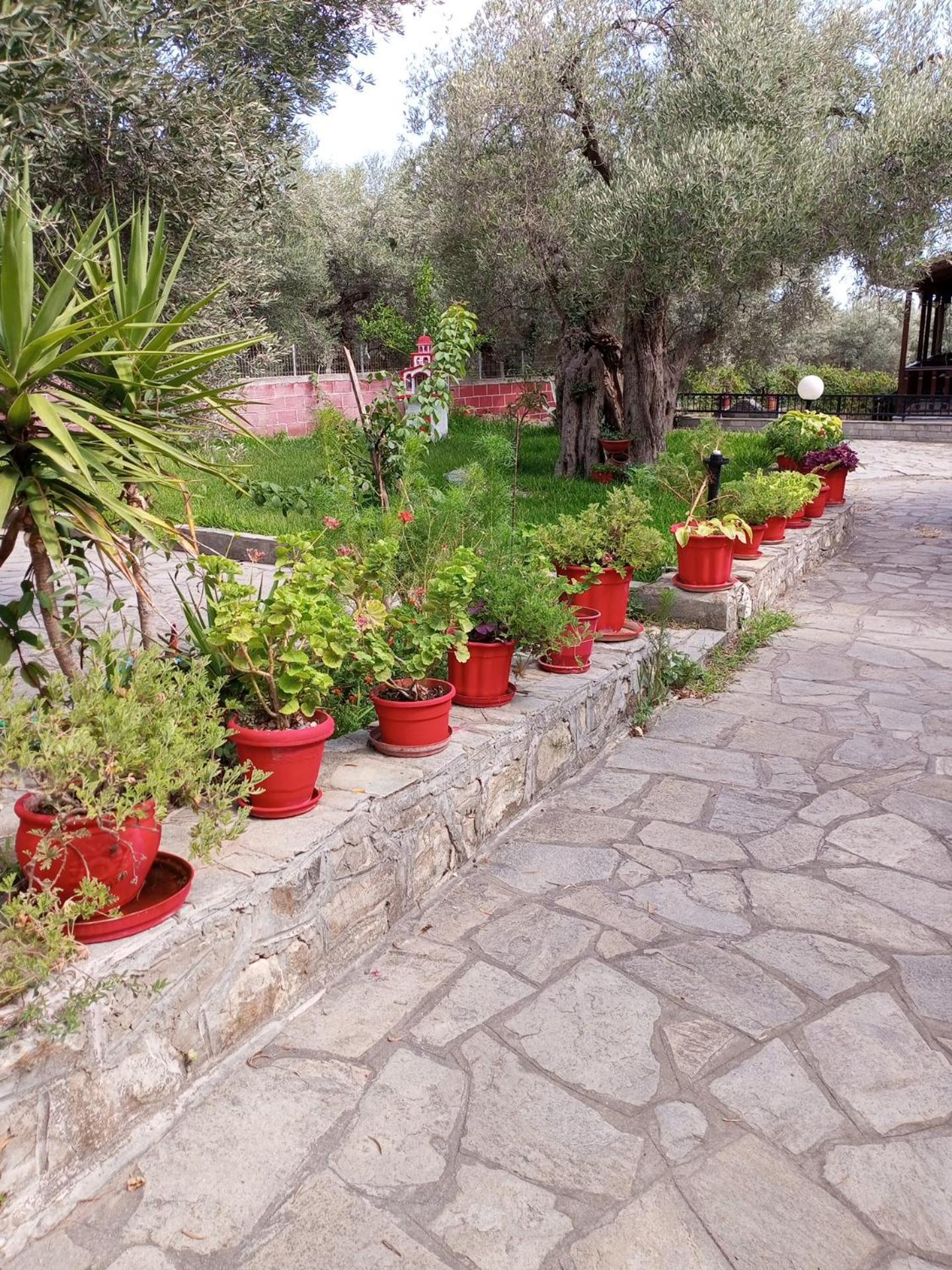 Villa Asimidou Agia Paraskevi  Exterior photo