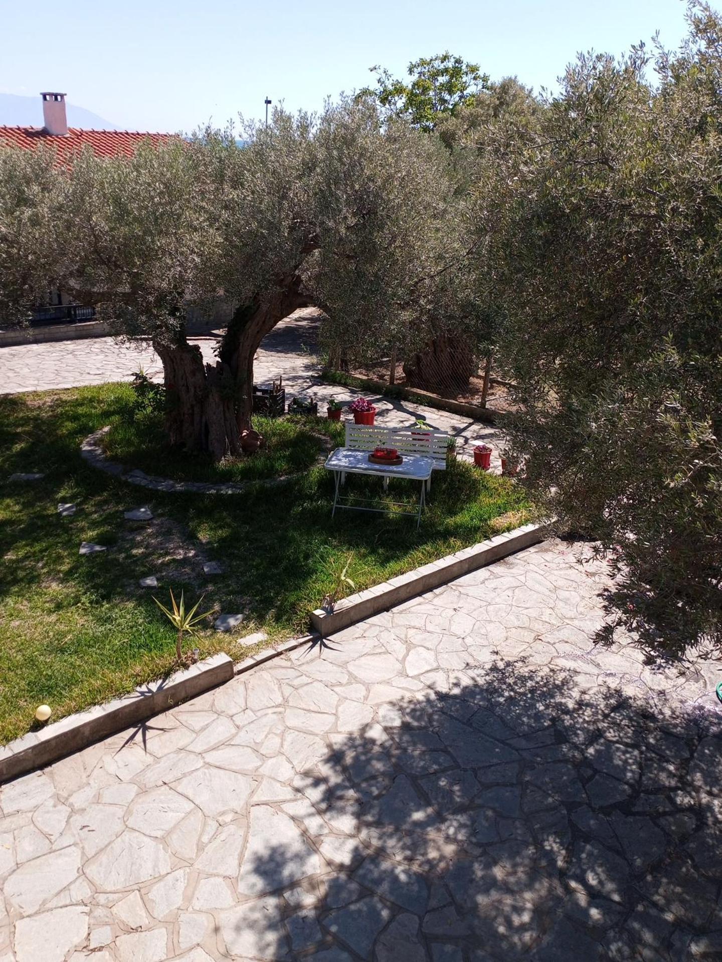 Villa Asimidou Agia Paraskevi  Exterior photo